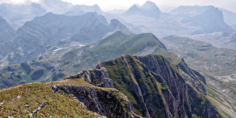 LB斯坦特：定制机械设备如何通过工业自动化协议实现高效互联与数据标准化