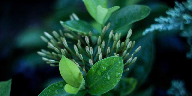 定制机械设备安全防护指南：从机械制造到功能安全认证的完整路径