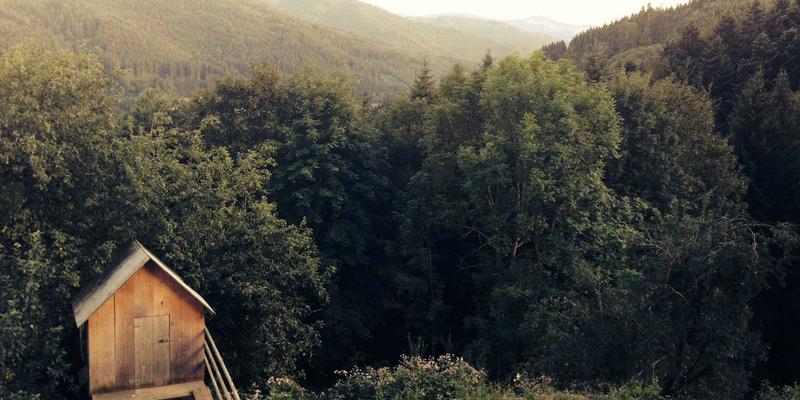 工业设备二手市场淘金指南：定制机械设备评估与LB斯坦特等品牌采购注意事项