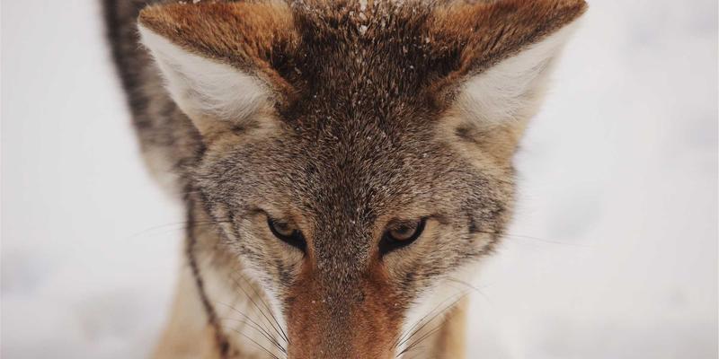 工业设备云平台选型指南：公有云、私有云与混合云的场景化分析