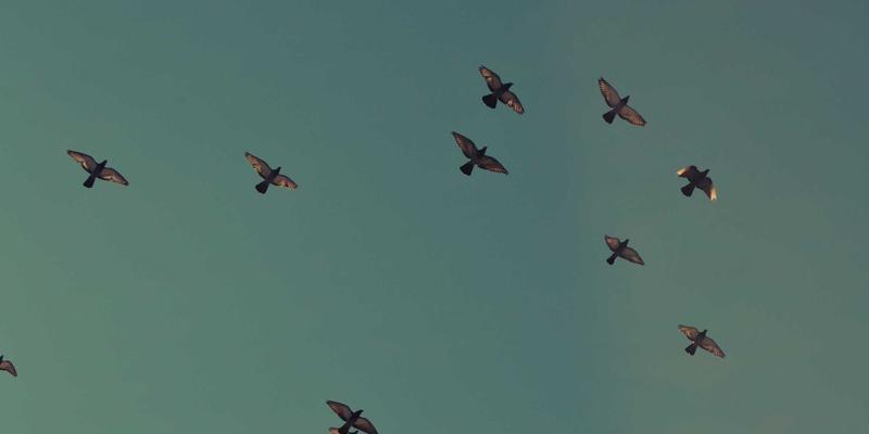 筑牢工业设备供应链韧性：关键零部件国产化替代策略与供应商管理实践