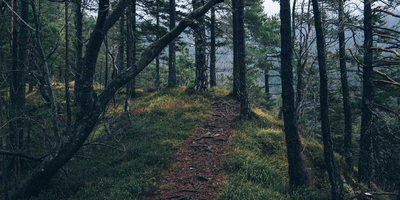 高精度伺服系统集成：驱动机械制造与定制设备性能跃迁的工业解决方案